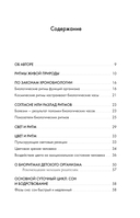 Биоритмы для здоровья. Рекомендации по режиму для хорошего самочувствия — фото, картинка — 4