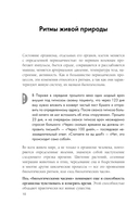 Биоритмы для здоровья. Рекомендации по режиму для хорошего самочувствия — фото, картинка — 9