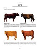 Мясо. Полное иллюстрированное руководство — фото, картинка — 10