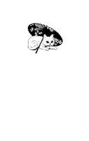 Мужчины без женщин — фото, картинка — 6