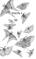 Воровка памяти — фото, картинка — 13