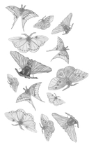 Воровка памяти — фото, картинка — 14