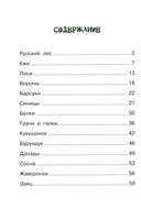 Русский лес — фото, картинка — 2