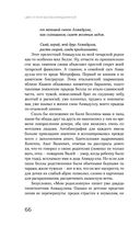 Цвет и тени Беллы Ахмадулиной. Первая полная биография — фото, картинка — 63