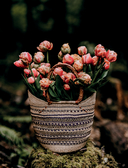 Язык любви цветов: флориография и букеты, говорящие о чувствах — фото, картинка — 6