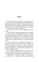 Тени исчезают в полдень — фото, картинка — 5