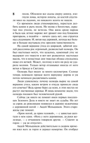 Тени исчезают в полдень — фото, картинка — 8