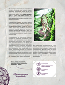 Волшебные сладости: десерты без сахара и аллергенов для детей и их взрослых — фото, картинка — 11