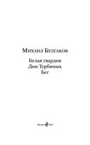 Белая гвардия. Дни Турбиных. Бег — фото, картинка — 3