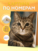 Картина по номерам 