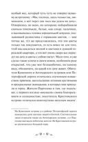 Белые ночи — фото, картинка — 11