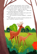 Волшебные сказки — фото, картинка — 9