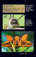 Бабочки. Иллюстрированный гид — фото, картинка — 9