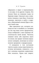 Капитанская дочка — фото, картинка — 35