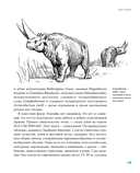 Борьба за обед. Ещё 50 баек из грота — фото, картинка — 17