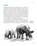 Борьба за обед. Ещё 50 баек из грота — фото, картинка — 25