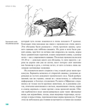 Борьба за обед. Ещё 50 баек из грота — фото, картинка — 26