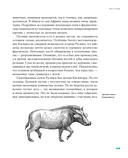 Борьба за обед. Ещё 50 баек из грота — фото, картинка — 27