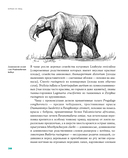 Борьба за обед. Ещё 50 баек из грота — фото, картинка — 28