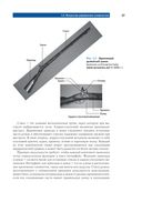 Цифровая схемотехника и архитектура компьютера. RISC-V — фото, картинка — 34