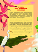 Птицы. Биология. Физиология — фото, картинка — 2