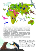 Птицы. Биология. Физиология — фото, картинка — 4