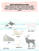 150 наклеек. На севере — фото, картинка — 1