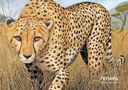 Животные Африки в натуральную величину — фото, картинка — 4