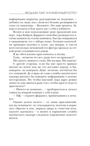 Ведьма, маг и каменный котёл — фото, картинка — 11