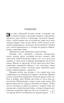 Ведьма, маг и каменный котёл — фото, картинка — 5