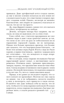 Ведьма, маг и каменный котёл — фото, картинка — 7