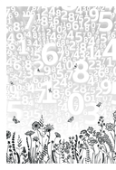 Живая математика — фото, картинка — 6