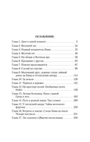 Белый Бим Черное ухо — фото, картинка — 29