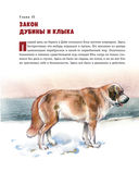 Зов предков — фото, картинка — 23