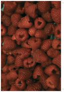 Король рынка. Самая правильная книга о продажах — фото, картинка — 22