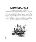 Тьма прекрасного. Вся нечисть русского фольклора — фото, картинка — 15