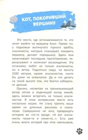 Кот, покоривший вершину — фото, картинка — 1