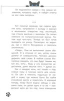 Кот, покоривший вершину — фото, картинка — 4