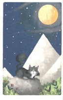 Кот, покоривший вершину — фото, картинка — 6