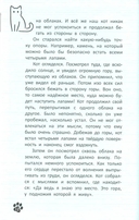 Кот, покоривший вершину — фото, картинка — 8