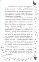 Кот, покоривший вершину — фото, картинка — 9