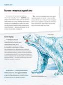 Природа России: от Арктики до пустыни. Моё первое путешествие — фото, картинка — 5