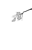 Большая грудь, широкий зад — фото, картинка — 1