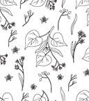 Феи весеннего леса. Раскраска — фото, картинка — 2