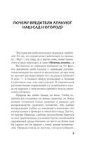 Болезни и вредители на участке. Как привлечь огородных помощников для защиты огорода — фото, картинка — 3