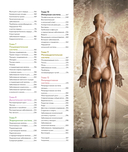 Анатомия человека. Визуальный гид по всем системам организма: норма и патологии — фото, картинка — 2