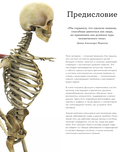 Анатомия человека. Визуальный гид по всем системам организма: норма и патологии — фото, картинка — 4