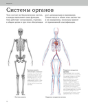 Анатомия человека. Визуальный гид по всем системам организма: норма и патологии — фото, картинка — 5