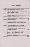 Мифы Китая. Мифические воззрения народа — фото, картинка — 1