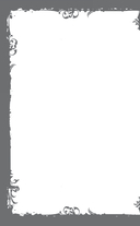 Костер и Саламандра. Книга 2 — фото, картинка — 8